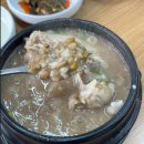 더황칠삼계탕