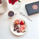 달담초콜릿