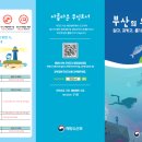 무인39 이미지