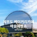 [제부도] 명인 베이커리 해솔제빵소, (내돈내산) 정원이 예쁜 대형 카페 커피 인더스트리