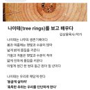 나이테