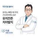 도곡동행동물병원 | 도곡동 동물병원 강아지 유치는 저절로 빠질 때까지 기다려도 되나? 유치잔존 치아발치 치료 후기