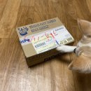 트릿츄잇 이미지