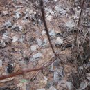 동막골약수터 이미지