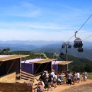 하이원랜드 이미지