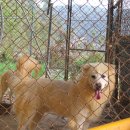 풍호농장 이미지