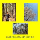 증포중학교사거리~설봉중학교사거리 이미지