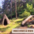 광주 남구 구절초원, 제봉산 마법의 숲 체험원