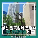 부천두리유치원 | 부천 벌목업체 조경수 나무 전지작업 비용