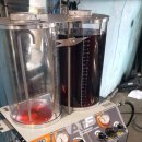 성주카프라자 이미지