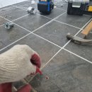 환경사업소화장실 이미지