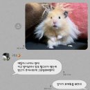 247 일상과 2024 서울 국제 도서전 후기