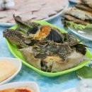 연백호 이미지