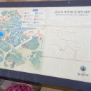 서동요역사관광지 | 국화향 따라, 백제의 가을 속으로! 제22회 백제고도 부여국화축제: 꽃이 된 황홀한 후기