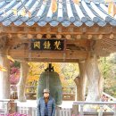 고산사목조석가모니불좌상 | 단풍이 들고 있는 2025년도 충남 서산 상왕산 개심사(象王山 開心寺) 탐방-(2/2)