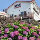 뱅디가름게스트하우스 이미지