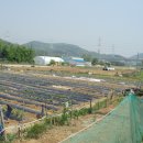 도일농장 이미지