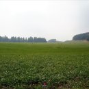 싱싱오름