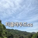 빠른 그린스피드와 아쉬웠던 잔디상태 티클라우드cc 라운딩 후기