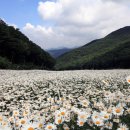 리산애감성여행