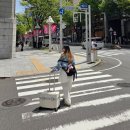 기내반입 가능 위로열리는 플랩캐리어 리드볼트 오딧 편해요!