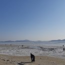 은빛 비치는 돌 이미지