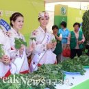 떠나자 - 축제 天地 경북으로! 이미지