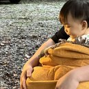 봄이 오는 길(시비 | 경기도 양주 봄이오는 캠프 아가랑 당일 가을캠핑 👐