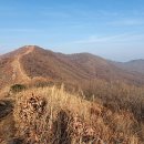 이*천 - 안양시 만안구 경수대로 1193 | 이*천