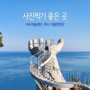 포토갤러리자연사랑미술관 | 예술과 자연이 어우러진 특별한 공간