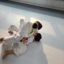 Dream of Judo 태평유도관 이미지