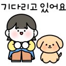 중대형견 유치원/호텔/미용 네발바닥 이미지