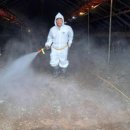 안평축산 이미지