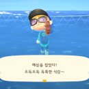 바다복어 이미지