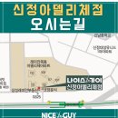 아델헤어 이미지