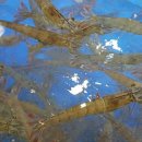 신일회수산 이미지