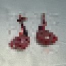 정샘동물병원 이미지
