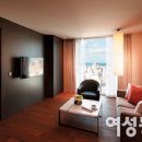 제주의 이유 이미지