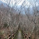 저구망산등산로 이미지