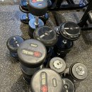 서세환 짐 이미지