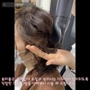 늘,봄 뷰티 이미지