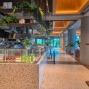 카페캐빈(Cafe Cabin) | 2편. [아난티 부산 1편] 휴식의 품격 : 캐빈B 복층 오션뷰 객실 &amp; 룸컨디션 솔직 후기