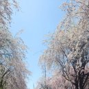 거창-남상-4 이미지