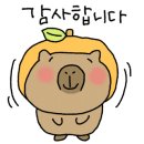 송동로-2 이미지