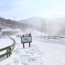 별빛목장 이미지