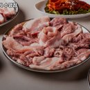 낭기뒷고기수영