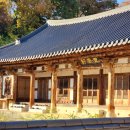전주 향교 2024년 11월 19일 은행나무 실시간 상황