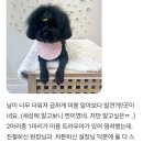 아뜰리에멍 이미지