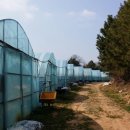 송림농장 이미지