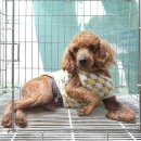 아리역로 이미지